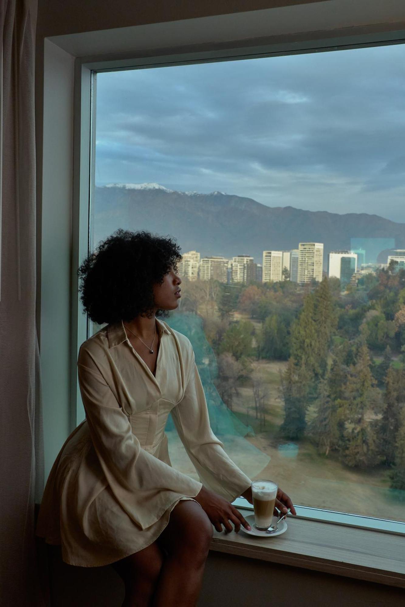 Pullman Santiago Vitacura Екстериор снимка A woman with natural hair